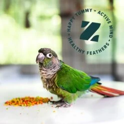 ZuPreem FruitBlend Flavor With Natural Flavors Daily Medium Bird Food 11 ZuPreem FruitBlend Flavor With Natural Flavors Daily Medium Bird Food -Sunny Decor Shop 100868 PT5. AC SS1800 V1598893854