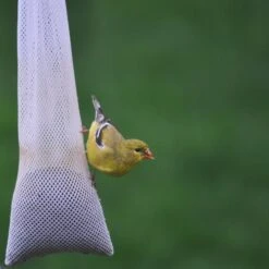 C&S Nyjer Sack Wild Bird Feeder -Sunny Decor Shop 105787 PT1. AC SS1800 V1647911566