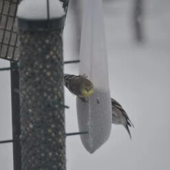 C&S Nyjer Sack Wild Bird Feeder -Sunny Decor Shop 105787 PT2. AC SS1800 V1647898622