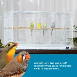Prevue Pet Products Small Bird Flight Cage -Sunny Decor Shop 106042 PT1. AC SS1800 V1677779826