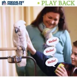 Prevue Pet Products Mimic Me Bird Voice Recording Unit -Sunny Decor Shop 106087 PT4. AC SS1800 V1678976449