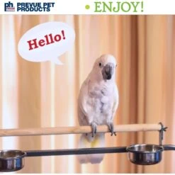 Prevue Pet Products Mimic Me Bird Voice Recording Unit -Sunny Decor Shop 106087 PT5. AC SS1800 V1678975065