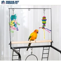 Prevue Pet Products Small Parrot Playstand -Sunny Decor Shop 106107 PT4. AC SS1800 V1678974952
