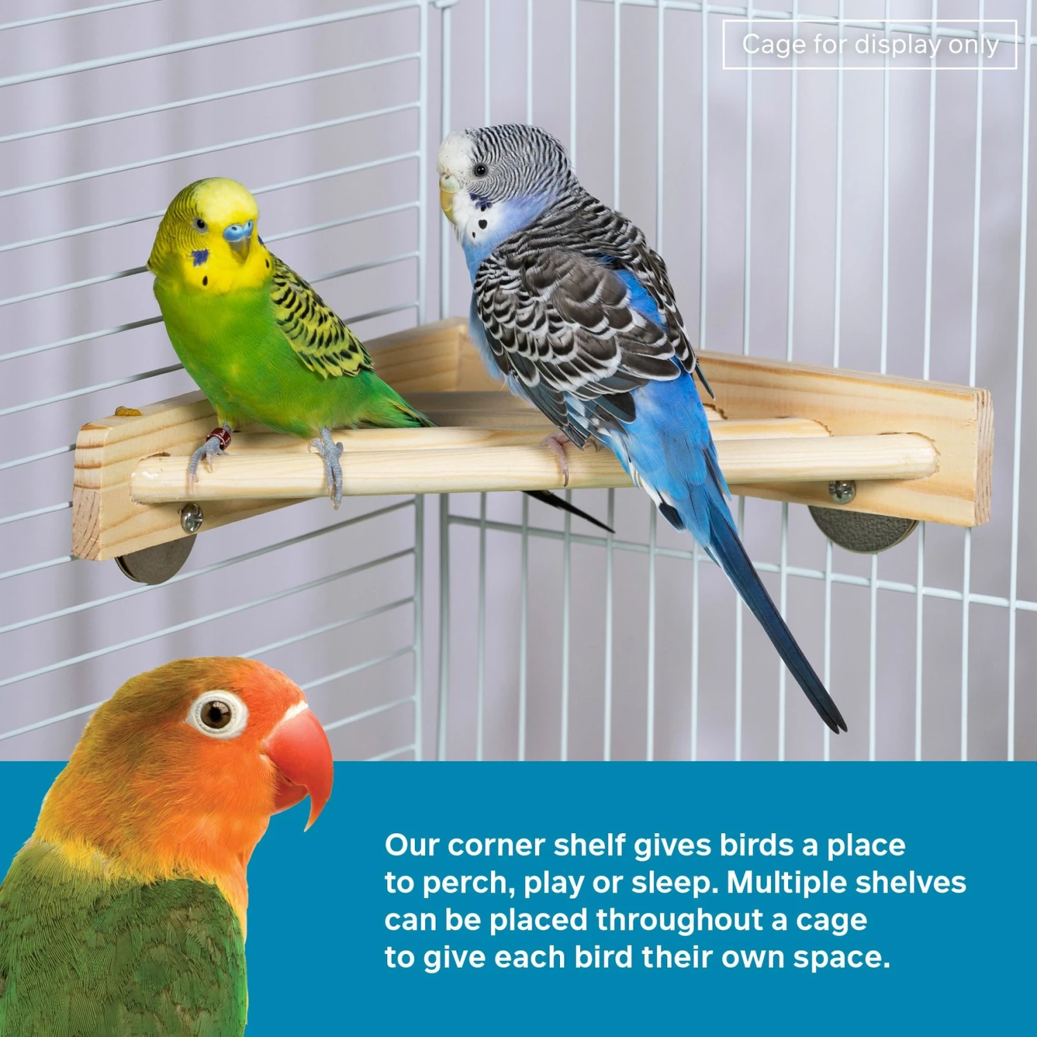 Prevue Pet Products Wood Corner Bird Cage Shelf 4 Prevue Pet Products Wood Corner Bird Cage Shelf - Image 2