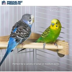 Prevue Pet Products Wood Corner Bird Cage Shelf 15 Prevue Pet Products Wood Corner Bird Cage Shelf -Sunny Decor Shop 106131 PT4. AC SS1800 V1678979816