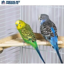 Prevue Pet Products Wood Corner Bird Cage Shelf 18 Prevue Pet Products Wood Corner Bird Cage Shelf -Sunny Decor Shop 106131 PT7. AC SS1800 V1678979762