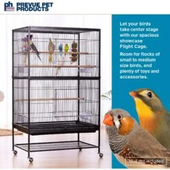 Prevue Pet Products Wrought Iron Small & Medium Birds Flight Cage -Sunny Decor Shop 106133 PT1. AC SS1800 V1678979762