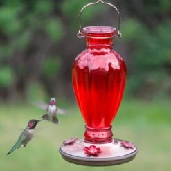 Perky-Pet Daisy Vase Vintage Glass Hummingbird Feeder -Sunny Decor Shop 106609 PT2. AC SS1800 V1476966810