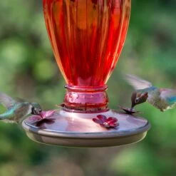 Perky-Pet Daisy Vase Vintage Glass Hummingbird Feeder -Sunny Decor Shop 106609 PT4. AC SS1800 V1476966823