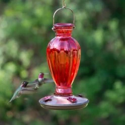 Perky-Pet Daisy Vase Vintage Glass Hummingbird Feeder -Sunny Decor Shop 106609 PT5. AC SS1800 V1476966831