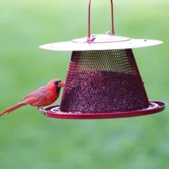 Perky-Pet Cardinal Wild Bird Feeder -Sunny Decor Shop 106614 PT4. AC SS1800 V1476966849