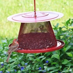 Perky-Pet Cardinal Wild Bird Feeder -Sunny Decor Shop 106614 PT5. AC SS1800 V1476966855