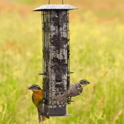 Perky-Pet Squirrel-Be-Gone Wild Bird Feeder -Sunny Decor Shop 106616 PT1. AC SS1800 V1476966865
