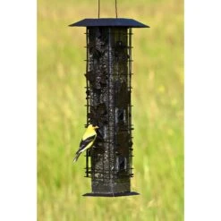 Perky-Pet Squirrel-Be-Gone Wild Bird Feeder -Sunny Decor Shop 106616 PT2. AC SS1800 V1476966869