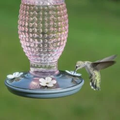 Perky-Pet Hobnail Vintage Hummingbird Feeder -Sunny Decor Shop 106625 PT4. AC SS1800 V1476966965