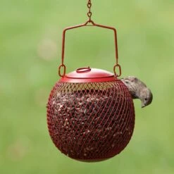 Perky-Pet Seed Ball Wild Bird Feeder -Sunny Decor Shop 106631 PT4. AC SS1800 V1476967033