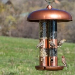 Perky-Pet Triple Tube Bird Feeder -Sunny Decor Shop 106639 PT3. AC SS1800 V1476967123