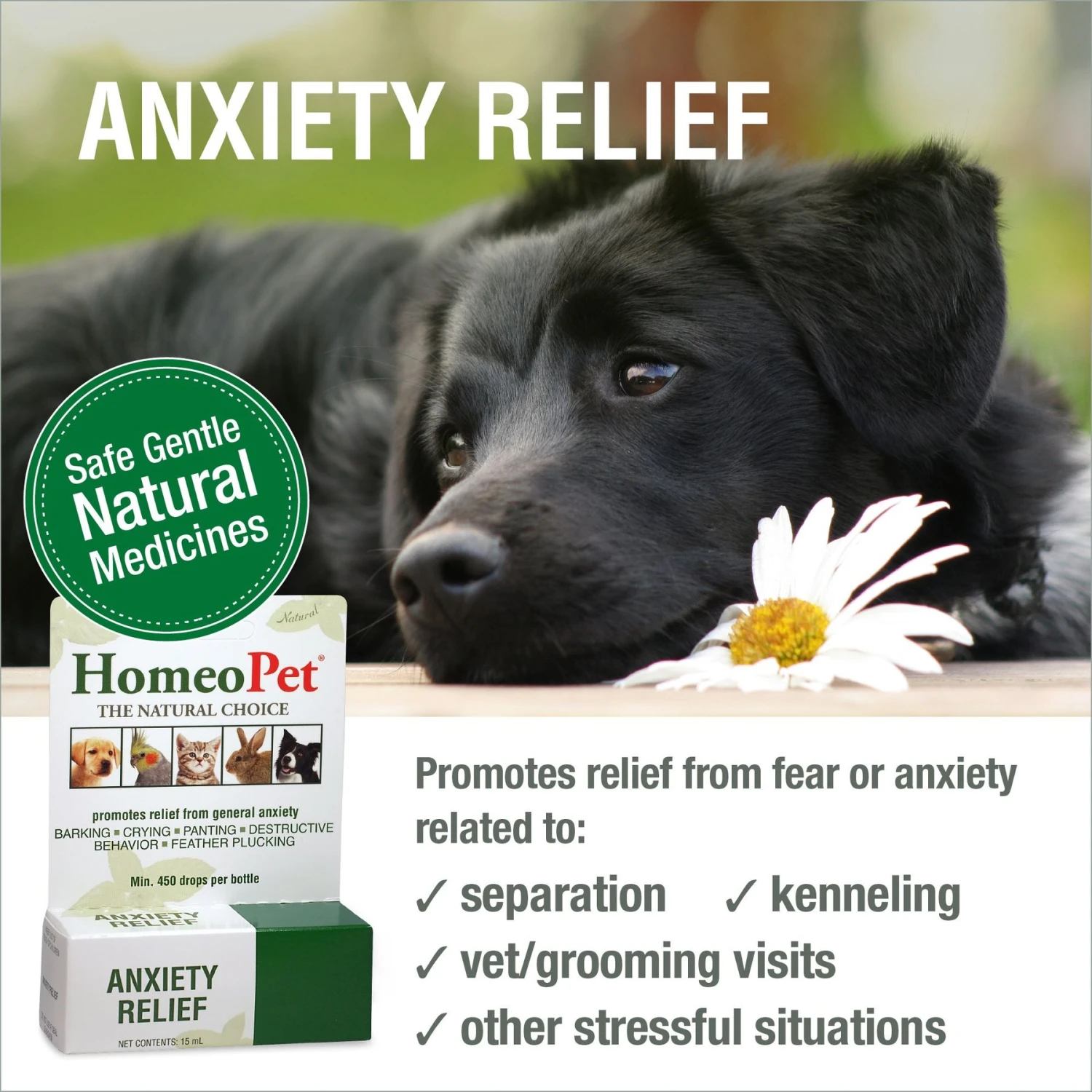 HomeoPet Anxiety Relief Dog, Cat, Bird & Small Animal Supplement 3 HomeoPet Anxiety Relief Dog, Cat, Bird & Small Animal Supplement - Image 2