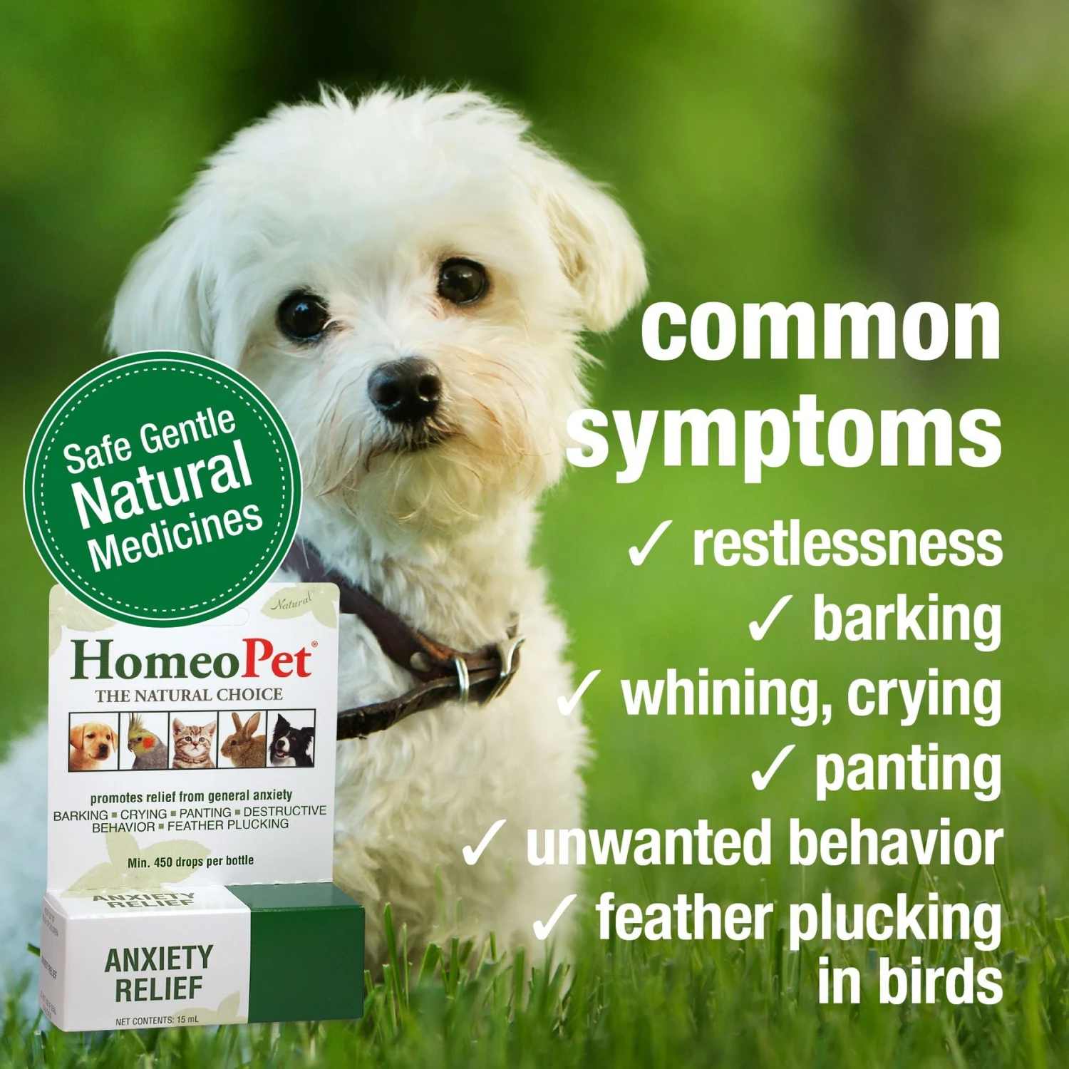 HomeoPet Anxiety Relief Dog, Cat, Bird & Small Animal Supplement 4 HomeoPet Anxiety Relief Dog, Cat, Bird & Small Animal Supplement - Image 3