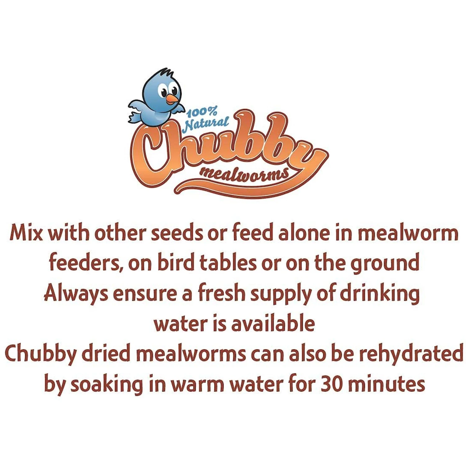 Chubby Mealworms Dried Mealworms 7 Chubby Mealworms Dried Mealworms - Image 6
