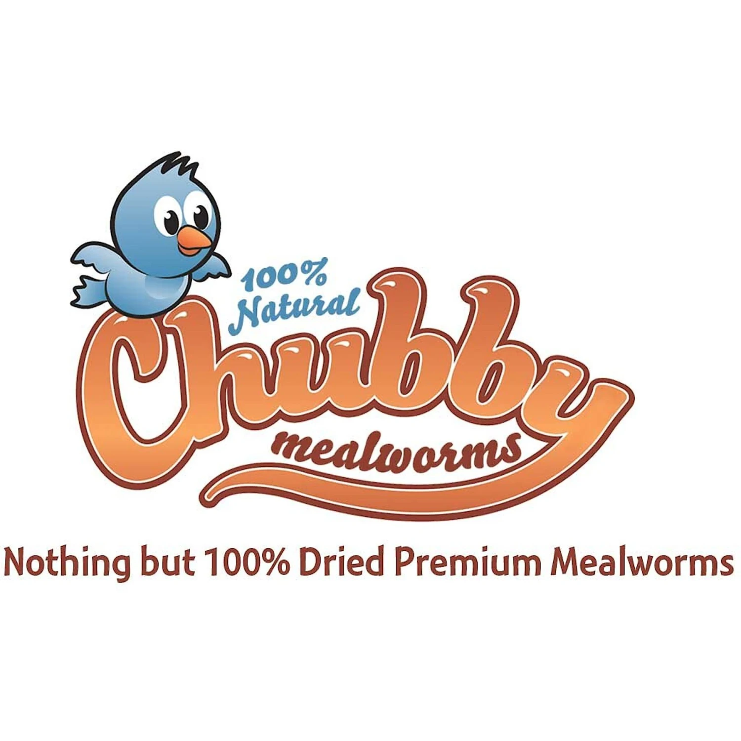 Chubby Mealworms Dried Mealworms 8 Chubby Mealworms Dried Mealworms - Image 7