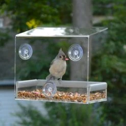 PetFusion Tranquility Window Bird Feeder -Sunny Decor Shop 123739 PT1. AC SS1800 V1494364334