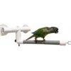 Polly's Pet Products Deluxe Window & Shower Bird Perch -Sunny Decor Shop 128595 MAIN. AC SS1800 V1673385992