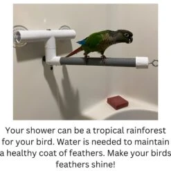 Polly's Pet Products Deluxe Window & Shower Bird Perch -Sunny Decor Shop 128595 PT3. AC SS1800 V1673386478