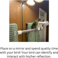 Polly's Pet Products Deluxe Window & Shower Bird Perch -Sunny Decor Shop 128595 PT4. AC SS1800 V1673386053