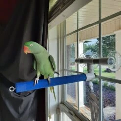 Polly's Pet Products Sandy Window & Shower Bird Perch -Sunny Decor Shop 128599 PT1. AC SS1800 V1668632337