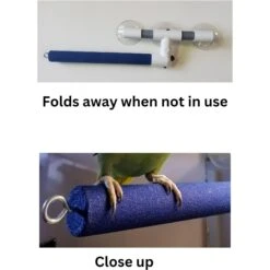 Polly's Pet Products Sandy Window & Shower Bird Perch -Sunny Decor Shop 128599 PT3. AC SS1800 V1674053870