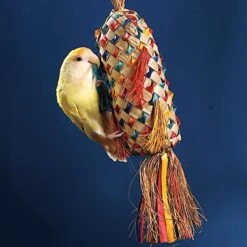 Planet Pleasures Spiked Piñata Natural Bird Toy, Color Varies -Sunny Decor Shop 131445 PT2. AC SS1800 V1500501060
