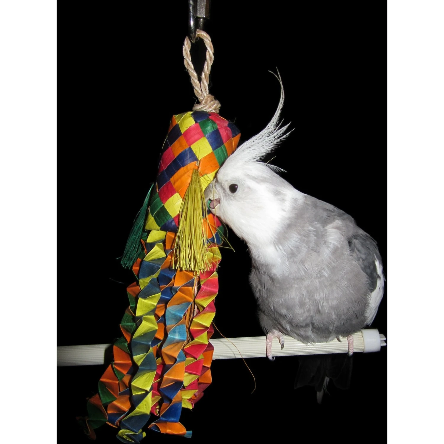 Planet Pleasures Octopus Piñata Bird Toy, Color Varies 4 Planet Pleasures Octopus Piñata Bird Toy, Color Varies - Image 2