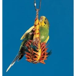 Planet Pleasures Pineapple Foraging Bird Toy -Sunny Decor Shop 131455 PT4. AC SS1800 V1500498630
