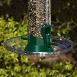 Droll Yankees 6-Seed Bird Seed Tray, 8-in -Sunny Decor Shop 132414 PT2. AC SS1800 V1500923436