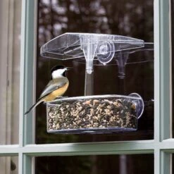 Droll Yankees Observer Window Bird Feeder, 7-in -Sunny Decor Shop 132420 PT3. AC SS1800 V1500923446