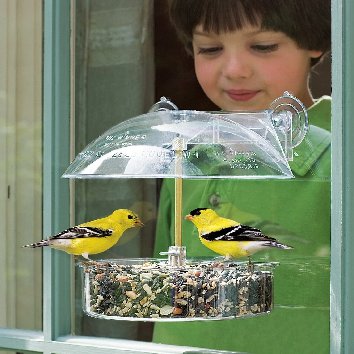Droll Yankees The Winner Window Bird Feeder, 8-in 6 Droll Yankees The Winner Window Bird Feeder, 8-in - Image 4