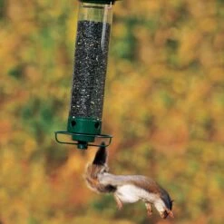 Droll Yankees Yankee Flipper Motorized Bird Feeder, 28.5-in -Sunny Decor Shop 132434 PT4. AC SS1800 V1500923485