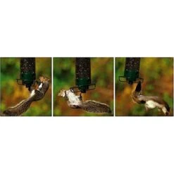 Droll Yankees Yankee Flipper Motorized Bird Feeder, 28.5-in -Sunny Decor Shop 132434 PT5. AC SS1800 V1500923473