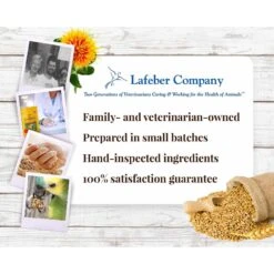 Lafeber Classic Nutri-Berries Parrot Food -Sunny Decor Shop 137360 PT6. AC SS1800 V1620693447