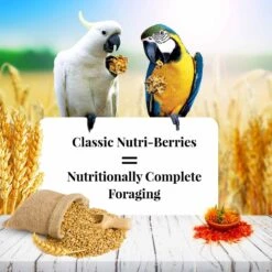 Lafeber Classic Nutri-Berries Macaw & Cockatoo Food 11 Lafeber Classic Nutri-Berries Macaw & Cockatoo Food -Sunny Decor Shop 137363 PT2. AC SS1800 V1620695230