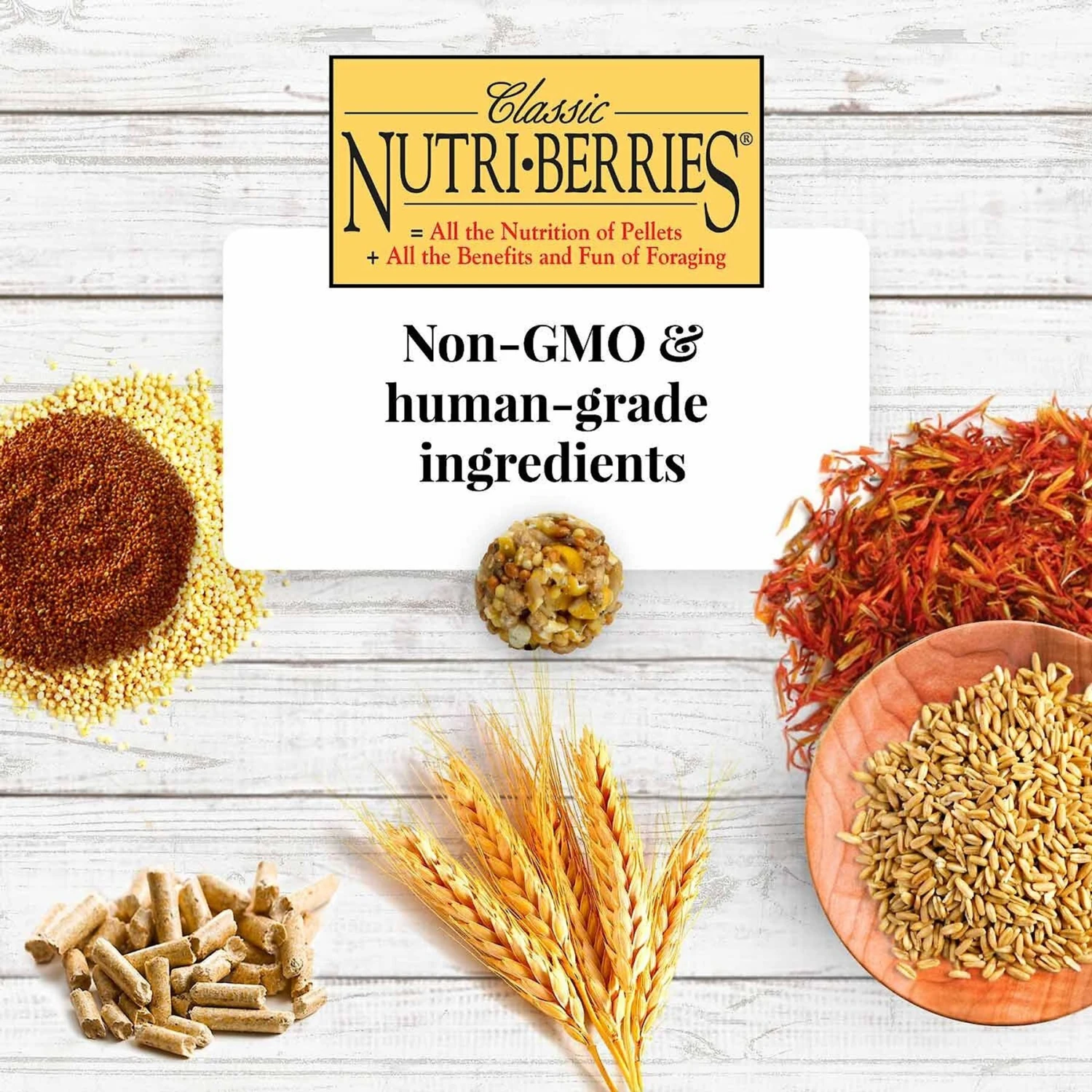 Lafeber Classic Nutri-Berries Macaw & Cockatoo Food 7 Lafeber Classic Nutri-Berries Macaw & Cockatoo Food - Image 5