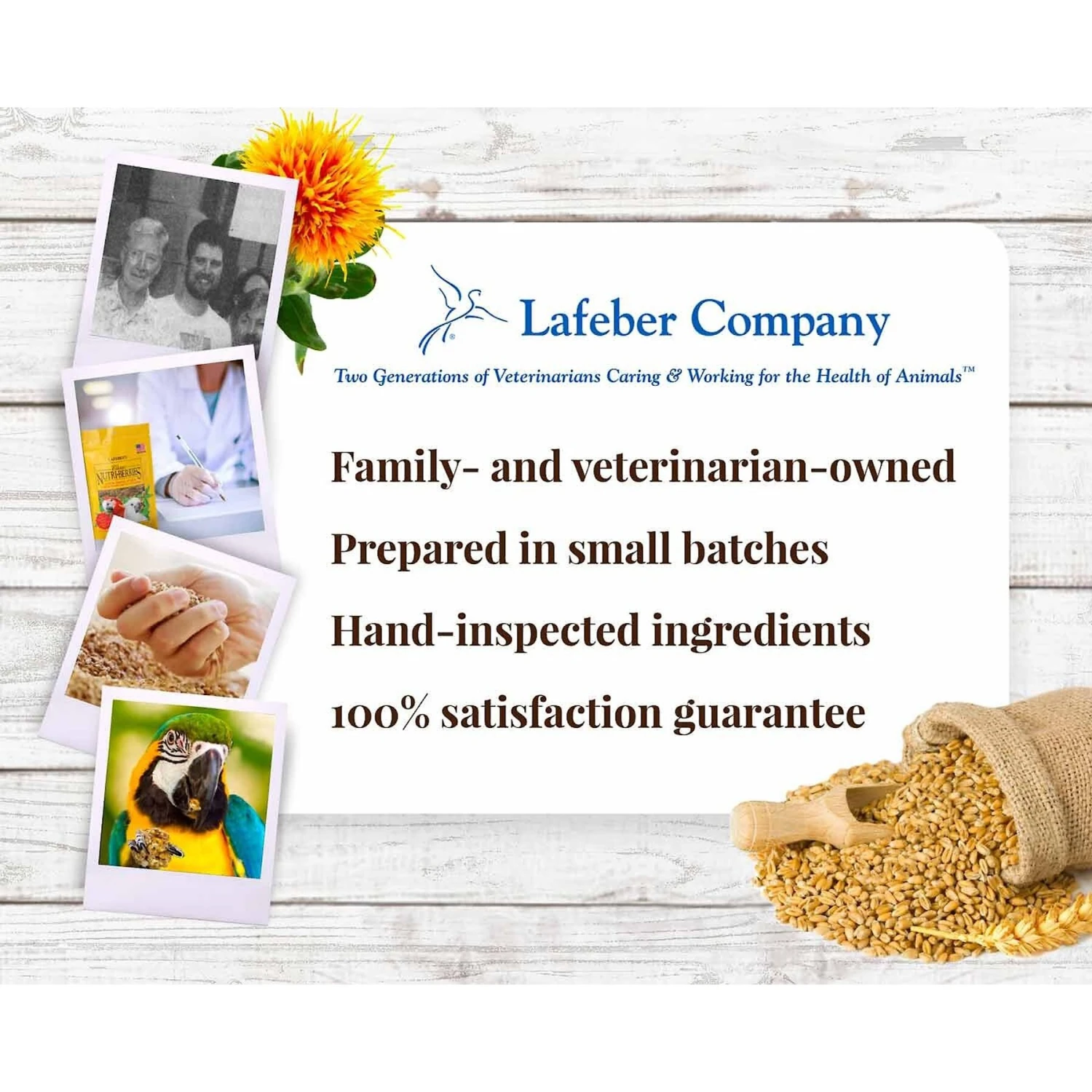 Lafeber Classic Nutri-Berries Macaw & Cockatoo Food 9 Lafeber Classic Nutri-Berries Macaw & Cockatoo Food - Image 7