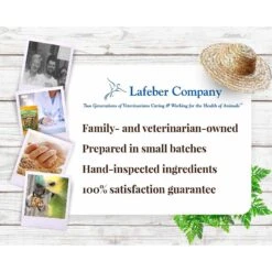 Lafeber Garden Veggie Nutri-Berries Parrot Food -Sunny Decor Shop 137368 PT7. AC SS1800 V1620699765