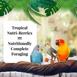 Lafeber Tropical Fruit Nutri-Berries Bird Food, 10-oz Bag -Sunny Decor Shop 137371 PT3. AC SS1800 V1620697053