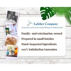 Lafeber Tropical Fruit Nutri-Berries Bird Food, 10-oz Bag -Sunny Decor Shop 137371 PT7. AC SS1800 V1620694085