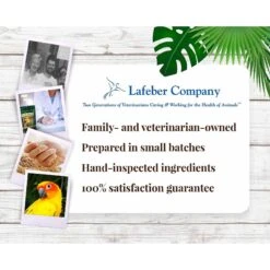 Lafeber Tropical Fruit Nutri-Berries Conure Food, 10-oz Bag -Sunny Decor Shop 137373 PT7. AC SS1800 V1620700967