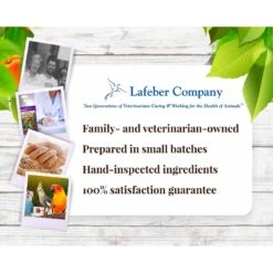 Lafeber Sunny Orchard Nutri-Berries Bird Food, 10-oz Bag -Sunny Decor Shop 137382 PT7. AC SS1800 V1620685930