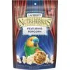 Lafeber Popcorn Nutri-Berries Parrot Bird Treat -Sunny Decor Shop 137413 MAIN. AC SS1800 V1683565360