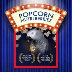 Lafeber Popcorn Nutri-Berries Parrot Bird Treat -Sunny Decor Shop 137413 PT4. AC SS1800 V1683561624